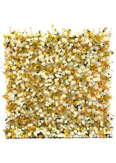 a white and yellow carpet with flowers on it