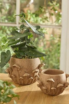 two planters sitting on top of a wooden table next to a potted plant