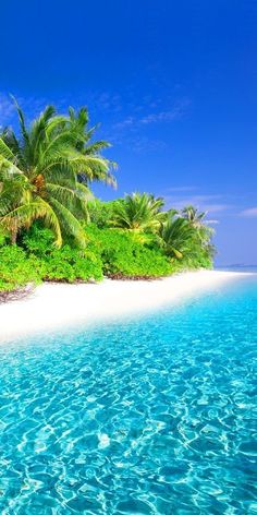 an island with palm trees and clear blue water