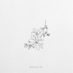 a black and white drawing of some flowers