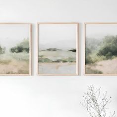 three paintings hang on the wall next to a vase with flowers and a plant in it