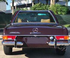 the back end of a car parked in a parking lot with palm trees behind it