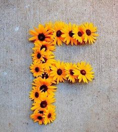 the letter f is made up of sunflowers and petals on concrete flooring