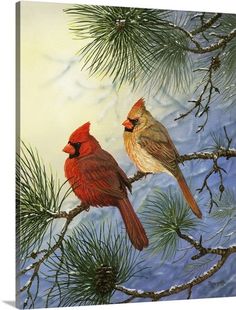 two birds sitting on top of a pine tree branch