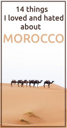 Morocco Packing, Mayfly