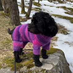 a black dog wearing a purple sweater standing on top of a snow covered ground next to trees