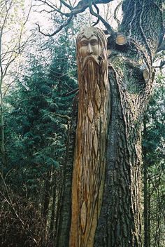 a large tree with a face carved into it's trunk