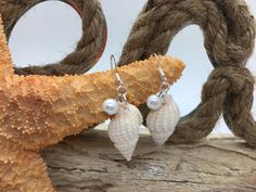 Shell Earrings, Beach Earrings, Ocean Earrings, White Shells, Shell Pearl Earrings, Wedding Earrings - Etsy White Jewelry For Summer Beach Wedding, White Jewelry For Beach Wedding In Summer, White Jewelry For A Beach Wedding In Summer, White Ocean-inspired Dangle Jewelry, Ocean-inspired Shell Pearl Earrings For Gift, Ocean-inspired Shell Pearl Earrings Gift, White Shell Dangle Pearl Earrings, Ocean-inspired Shell Pearl Earrings, White Dangle Shell Pearl Earrings