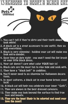 a black cat with yellow eyes on it's face and the words, 13 reasons to adopt a black cat