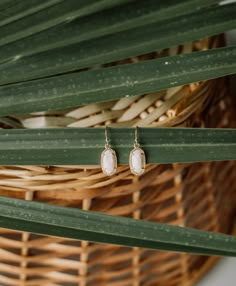 a pair of earrings sitting on top of a green plant next to a wicker basket