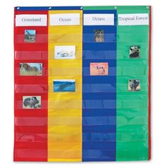 a rainbow colored bulletin board with pictures of animals and their names on it's sides