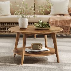 a living room with a couch, coffee table and potted plant on the floor