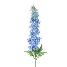 Elevate your space with the ethereal beauty of this Sullivan's Artificial Sky Blue Delphinium Stem.Click this HOME DECOR & FURNITURE GUIDE to find the perfect fit and more! DETAILS 42.5"H x 5"W x 5"L Polyester Wipe clean Imported Size: One Size. Gender: unisex. Age Group: adult. Blue Delphinium, Artificial Flowers And Plants, Delphinium, Ethereal Beauty, Decor Furniture, Blue Flower, Home Decor Furniture, Artificial Flowers, Sky Blue