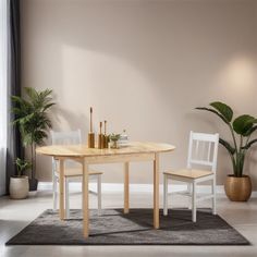 a dining table and two chairs in front of a potted plant on a rug