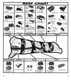 an animal's body and its parts are labeled in the diagram, with descriptions