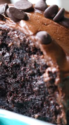 a piece of chocolate cake with chocolate chips on top