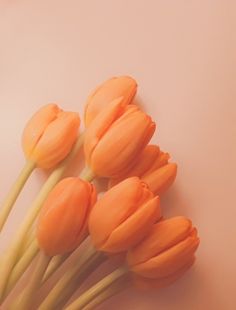 some orange flowers are on a white surface