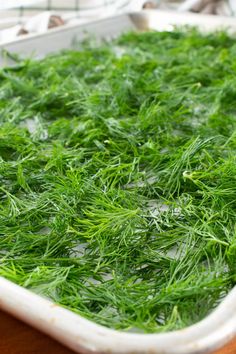 How To Harvest Dill Fresh Herbs, Mason Jar Gifts Recipes, Making Dill Pickles, Preserve Fresh Herbs, Drying Fresh Herbs, Dill Pickle Recipe, Oven Vegetables, Harvesting Herbs, Dried Vegetables