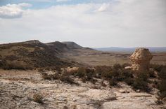 an arid landscape with sparse vegetation and mountains in the background