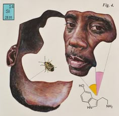 a drawing of a man's stomach and insect