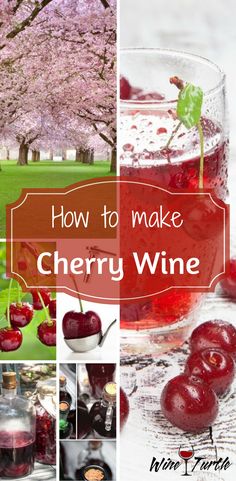 cherry wine with the words how to make cherry wine on it and pictures of cherries