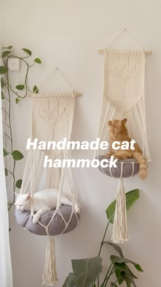 two hammocks with cats sleeping in them