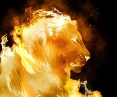 a golden lion is shown in this artistic photo with fire coming out of it's mouth