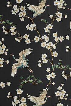 two birds flying over white flowers on a black background