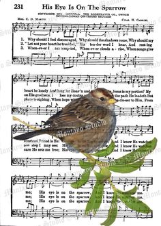 a bird sitting on top of a sheet of music