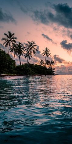 the sun is setting over an island with palm trees in the background and water below