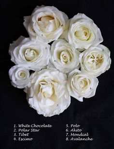 a bunch of white roses sitting on top of a black background with the words written below it