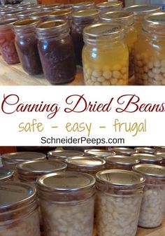 canning dried beans in jars with text overlay that reads canning dried beans safe - easy - frugal