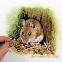 a drawing of a mouse in a hole