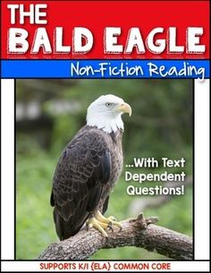 the bald eagle non - fiction reading with text and an image of an eagle sitting on a branch