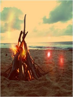 a fire pit made out of sticks on the beach