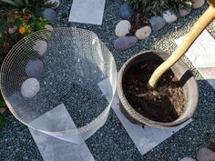 a person is digging dirt into a potted plant