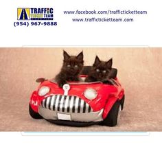 two black kittens are sitting in a red car shaped pillow that has stripes on it