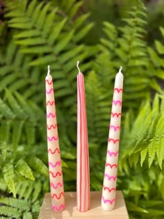 two pink candles sitting on top of a wooden block in front of green plants and ferns