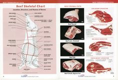 Eye Notes, Animal Slaughter, Beef Round, Human Nutrition, Food Science, Slow Food, Buyers Guide, Food Source