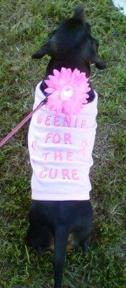 a black dog wearing a white shirt with pink flowers on it