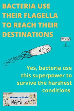 a blue poster with the words bacteria use their flagella to reach their destinations