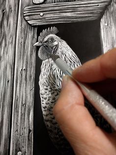 a drawing of a chicken is being drawn by someone's hand with a marker