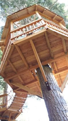 a tree house built on top of a large tree