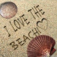 two seashells are on the sand and one is writing i love contus