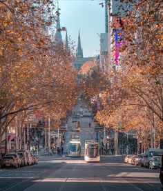 a bus is driving down the street in front of some trees with leaves on them