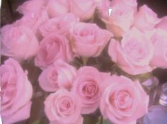 a bunch of pink roses in a vase