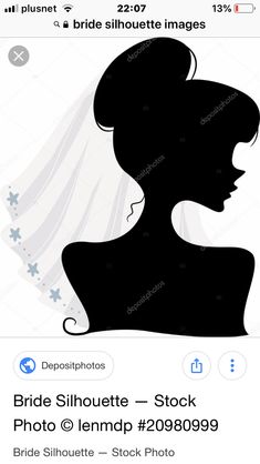 the silhouette of a bride with her veil blowing in the wind stock photo 549907