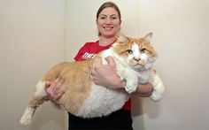 a woman holding a cat in her arms and smiling at the camera while wearing a red shirt