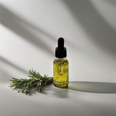 Description Say hello to hair growth on the go with our Travel-Size Rosemary Hair Growth Oil! 🌿 Packed into a convenient 1oz bottle, this potent blend is perfect for slipping into your purse or gym bag—so you can keep those luscious locks growing wherever life takes you. Infused with over 30 powerful herbs, including rosemary, thyme, cinnamon, and fenugreek, our hair oil is designed to support fast, healthy hair growth naturally. It nourishes the scalp, strengthens hair strands, and adds a heal Hair Growth Oil Photoshoot, Rosemary Hair Growth Oil, Rosemary Hair Oil, Hair Growth Naturally, Rosemary Oil For Hair Growth, Rosemary Hair Growth, Rosemary Hair, Rosemary Oil For Hair, Hair Strands