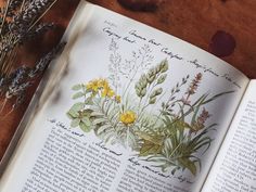 an open book sitting on top of a wooden table next to flowers and plants in it